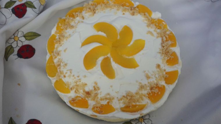 Εύκολο δροσερό ελαφρύ γλυκό ψυγείου με κρέμα μιλφέιγ και ροδάκινο